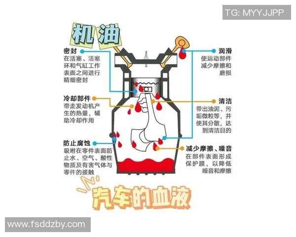 全面解析汽车保养技巧与注意事项，延长爱车使用寿命的方法揭秘