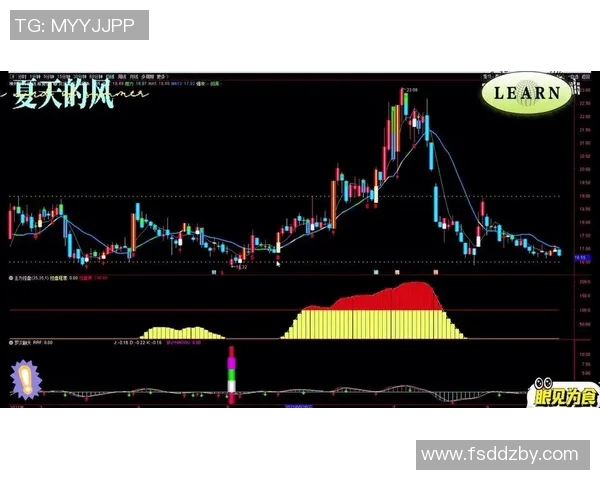 独家解析：杭州篮球队速度优势与对手的全面对比分析